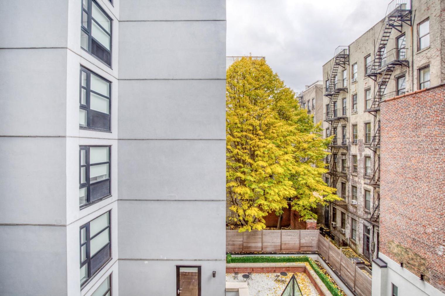 Apartamento Les 1br W Gym Doorman Wd Nr Park Nyc-1314 Nova York